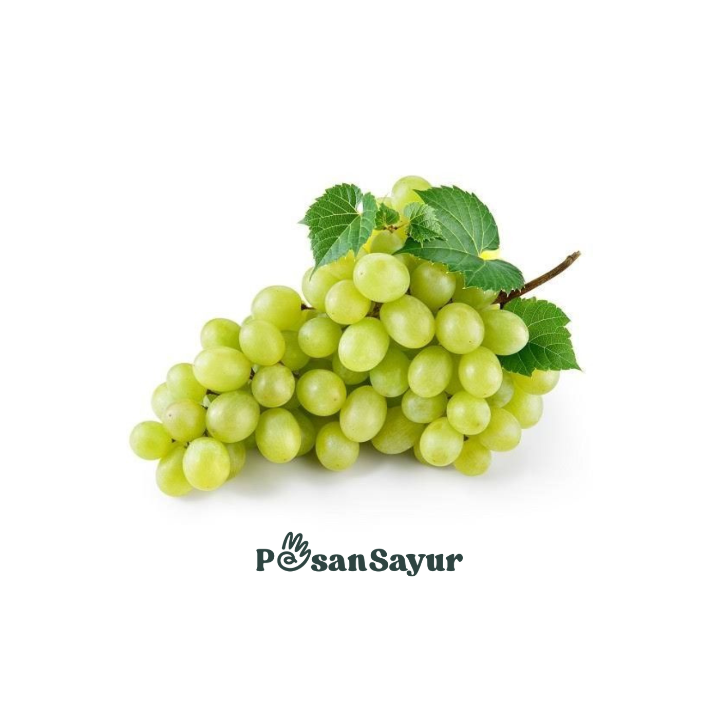 Anggur Hijau